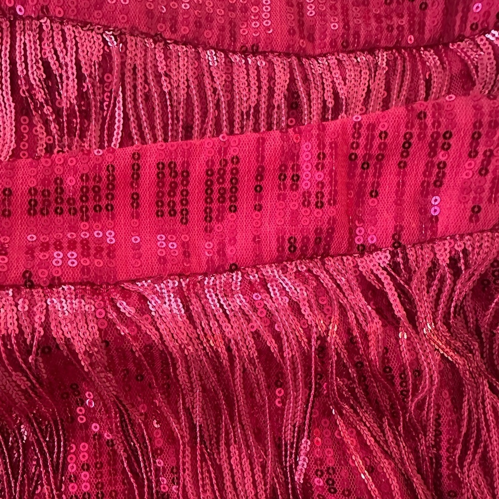 Dolly Parton Style Pink Fringe Skirt - Picture 3 of 4